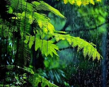 La beauté cachée des paysages pluvieux : top destination pluvieuses et inoubliables
