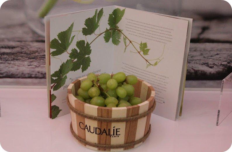 Vinosource: la nouvelle ligne Caudalie…l’essayer c’est l’adopter !