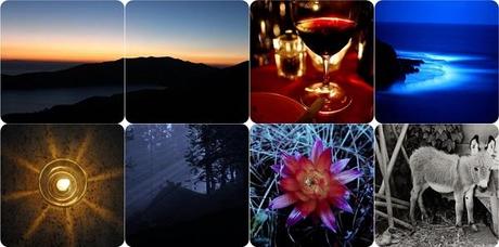 isla-del-sol-bolivie-ile du soleil-fleur-ane-coucher-de-soleil-image-vin-rouge-nuit-noire