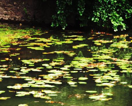 azay-le-rideau