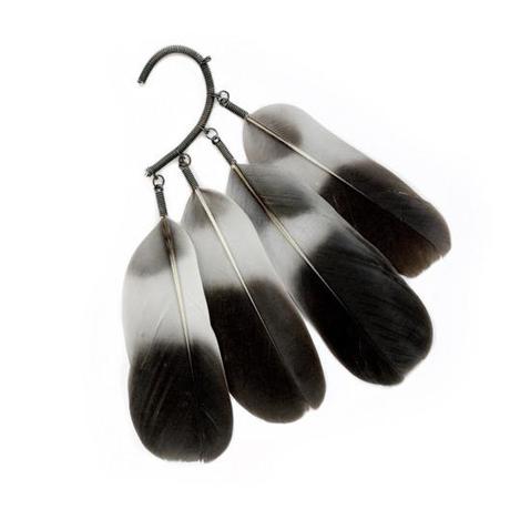 grey_pigeon_tail_feathers_1000x1000_annijyrgenson