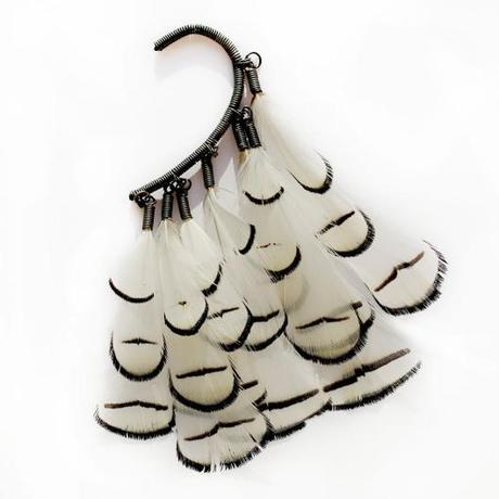 Pheasant_annijyrgenson_boticca2