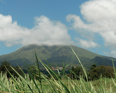 Dépaysement totale en Martinique… wallpaper-1689754