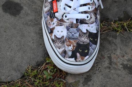 Vans Cats 2