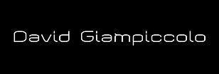 DAVID GIAMPICCOLO – SCHIZOPHRENIC SS14