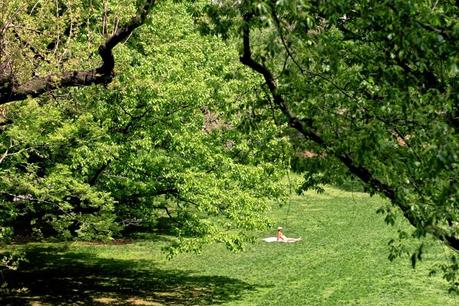 Central Park ◊ New York