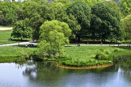 Central Park ◊ New York