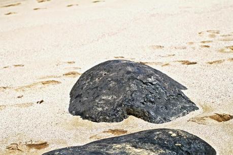 Isla la Graciosa ◊ Canary Islands