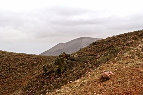 Overview ◊ Lanzarote