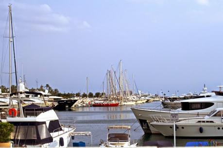 La Croisette ◊ Cannes