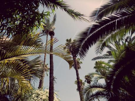 Jardin Majorelle