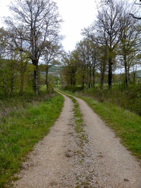 Promenade aveyronnaise