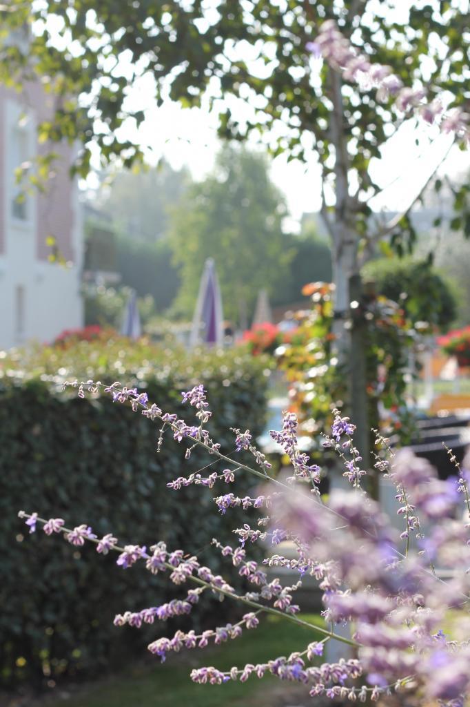 Été indien à la Closerie Honfleur photo IMG_6352_zpsbb3c636b.jpg