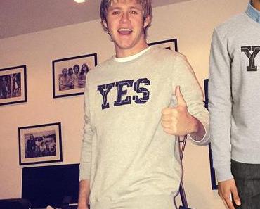 ONE DIRECTION : Niall Horan wearing a grey A.P.C. sweat-shirt