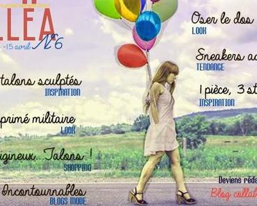 Edito n°6