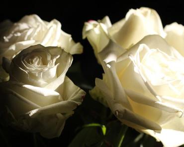 wallpaper-1689754