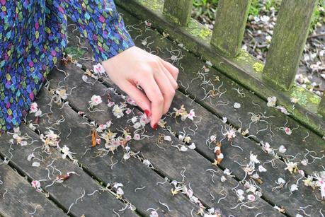 Cherry Blossom Girl