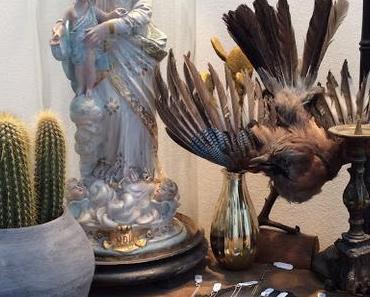Le cabinet de curiosités de Corpus Christi