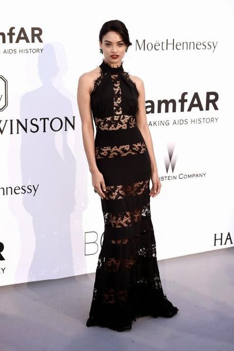 Les Meilleurs Looks du 22ème Gala de L'amfAR à Cannes
