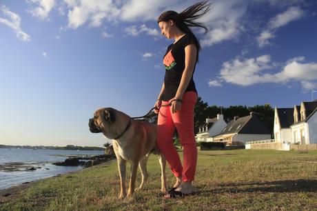 aklanoa blog mode lifestyle de la plage cane corso fauve