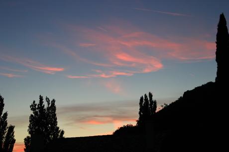 IMG_9019