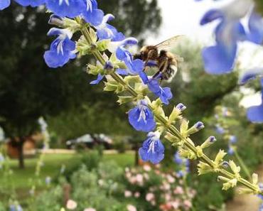 Les Senteurs Gourmandes : test et avis | CONCOURS