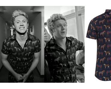 ONE DIRECTION : Niall Horan, perfect in Gucci