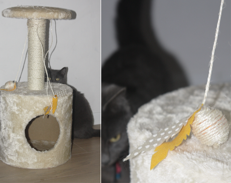 DIY jouet pour chat