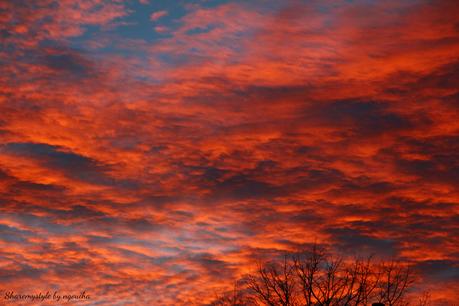 Ciel rouge