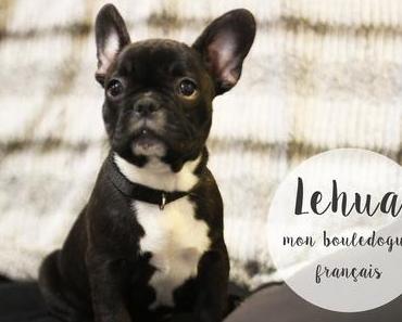 Aloha Lehuas