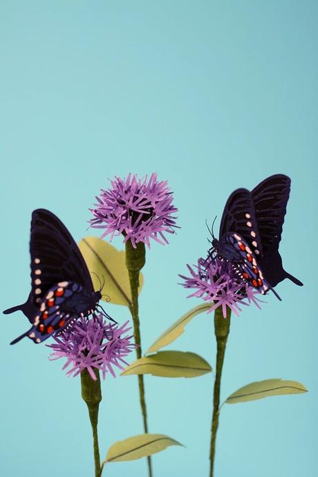 papillons-papier-art-diana-beltran-herrera
