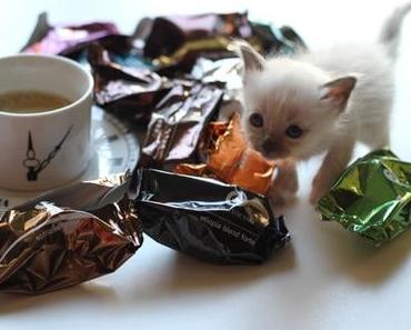 Bon plan café : les capsules Gourmesso