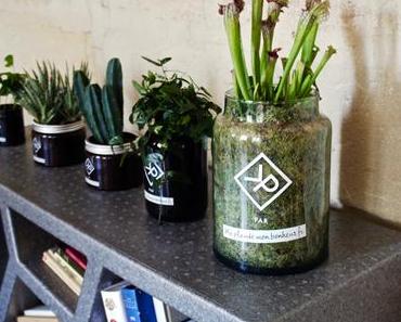 Des hommes et des plantes [Concours]