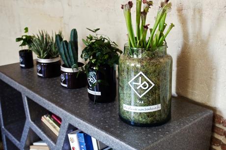 Blog_homme_mode_déco_plantes_plants-intérieur_design-gigogne_pot-fleurs_tendance_vitamin-plant_maplantemonbonheur