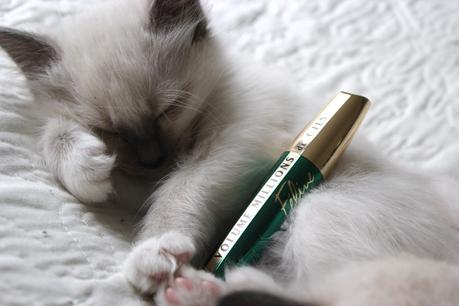 feline-loreal