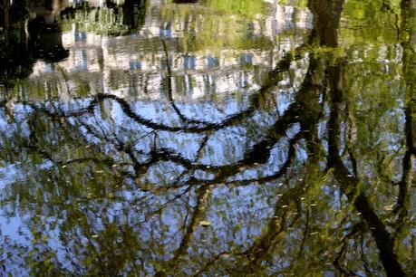 jardin-luxembourg