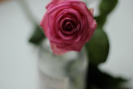 rose-bioderma