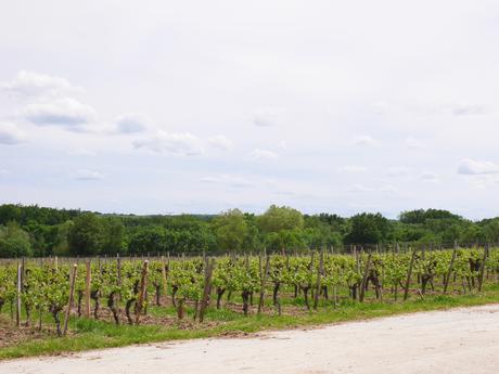 Château de Reignac : l’Incroyable voyage du Fleuve au Vin