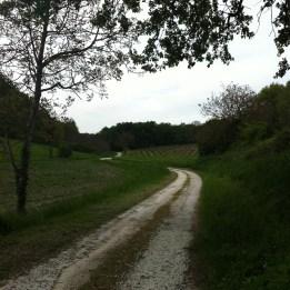 Week-end à Cognac