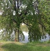 Promenade au parc