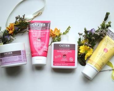 Ma routine de soins capillaires Cattier