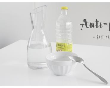 Recette anti puces pour chat