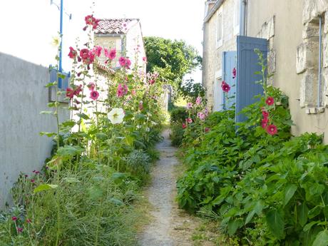 Une balade à Talmont-sur-Gironde (17)