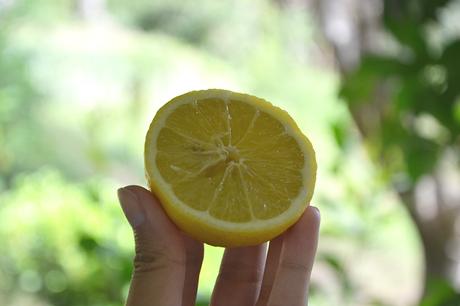 citron-ongle-jaune-1