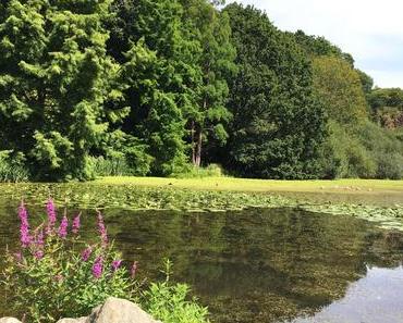 Balade au Conservatoire Botanique national de Brest