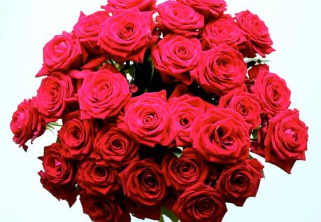 bouquet-roses-rouges