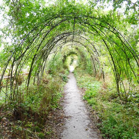 Voyage en Ecosse : à la découverte d’Inverness et sa région