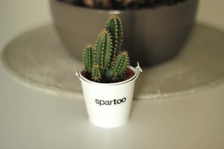 cactus-spartoo
