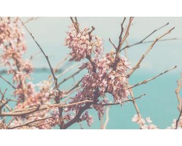 Playlist #17