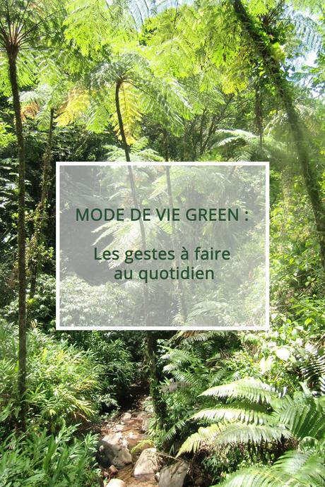 En 2017, j'aimerais un mode de vie plus Green